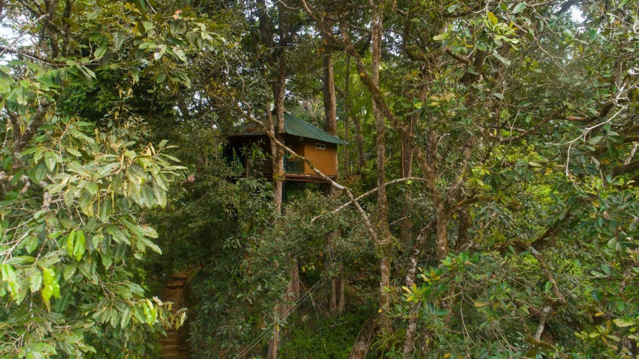 Ela Ecoland Nature Retreat Munnar Exterior photo