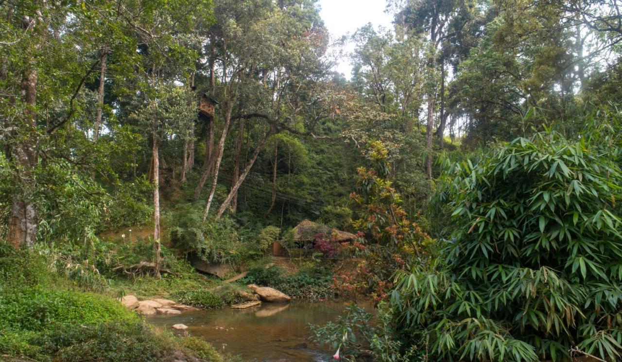 Ela Ecoland Nature Retreat Munnar Exterior photo