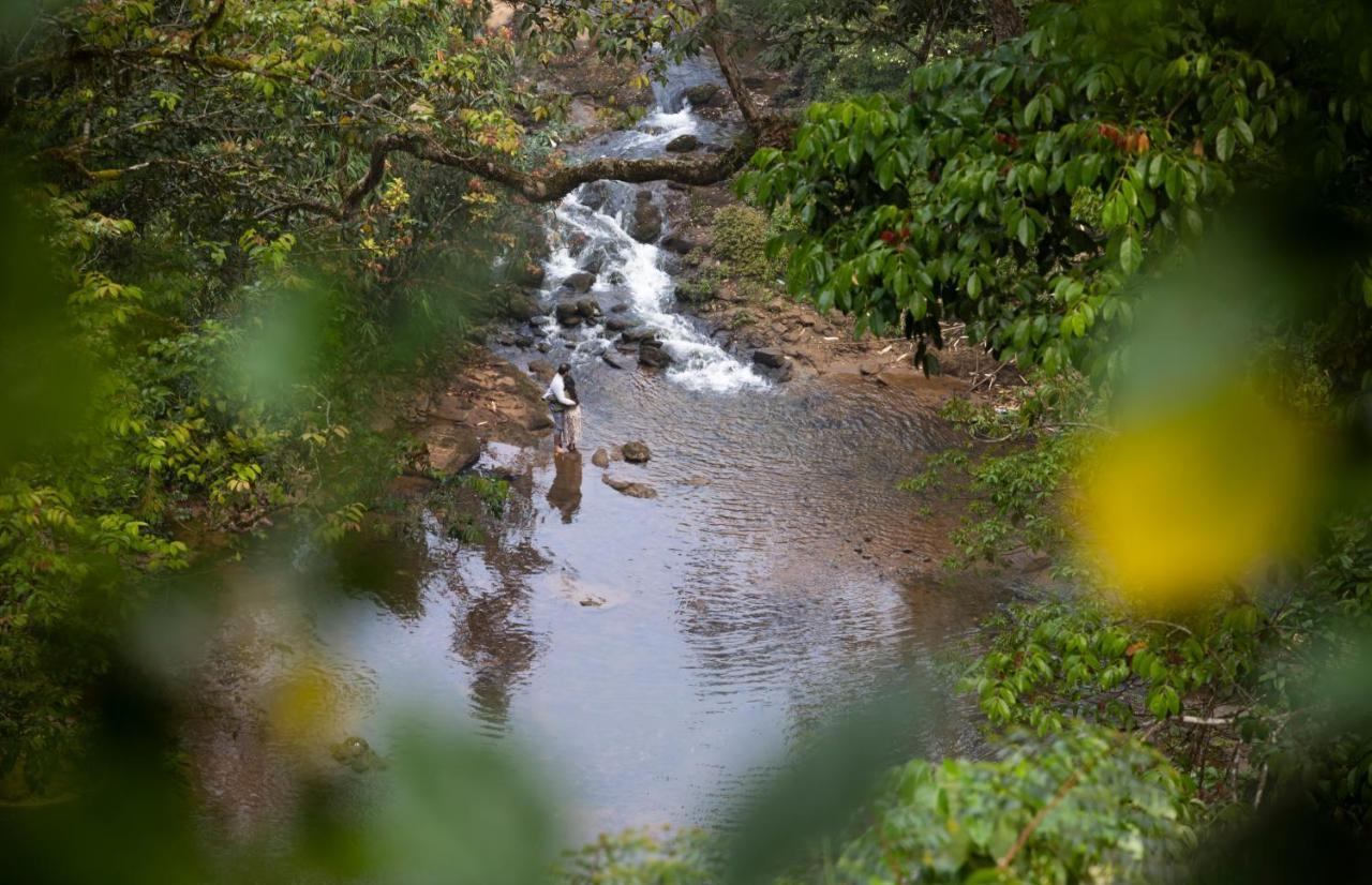 Ela Ecoland Nature Retreat Munnar Exterior photo
