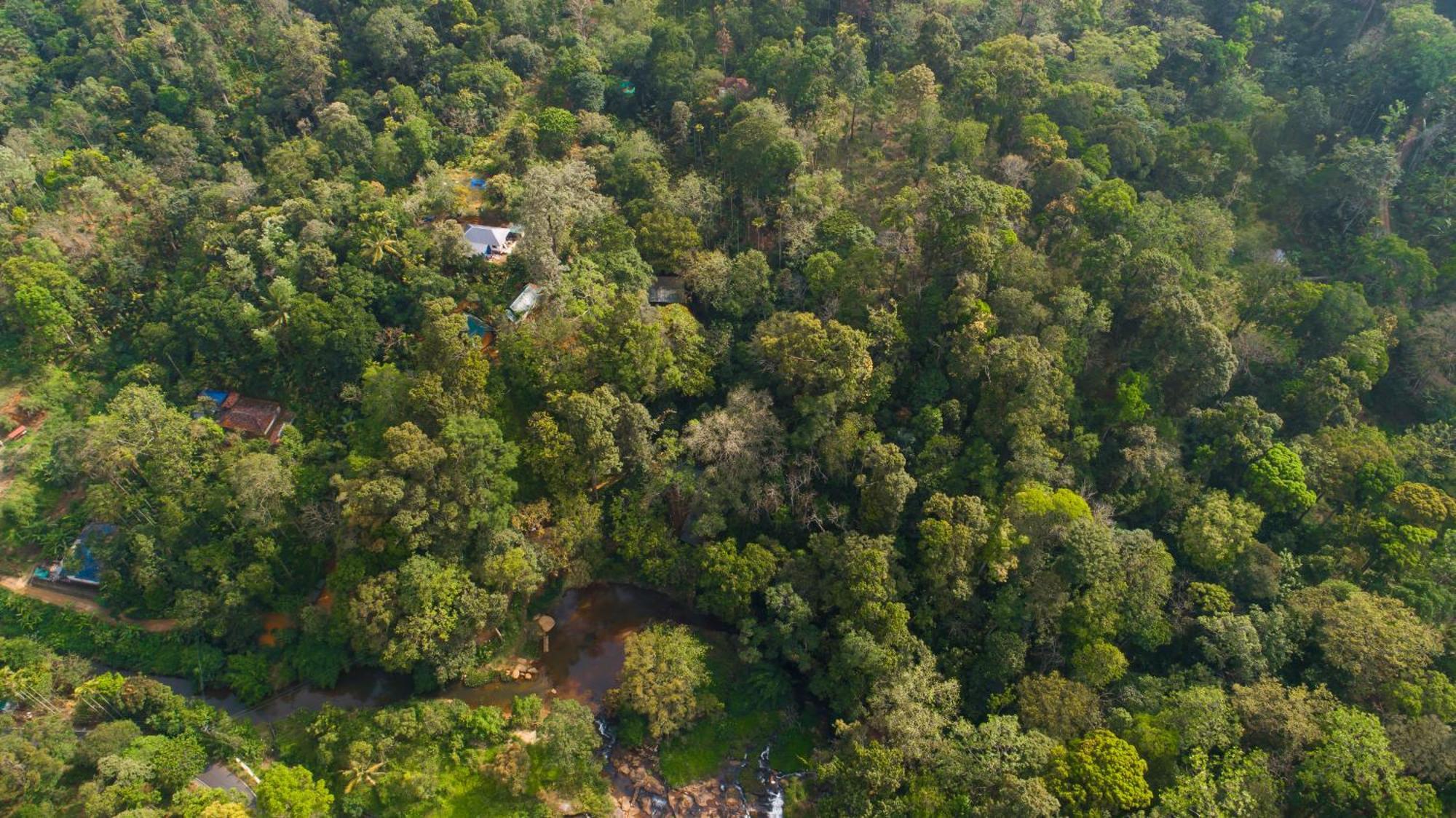 Ela Ecoland Nature Retreat Munnar Exterior photo