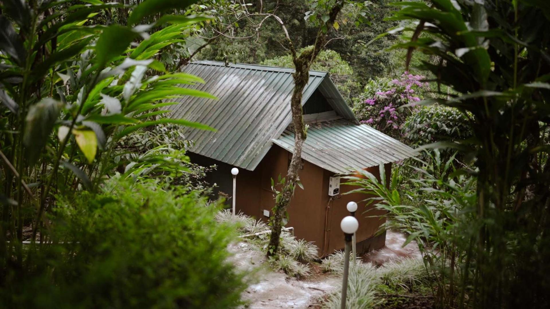 Ela Ecoland Nature Retreat Munnar Exterior photo