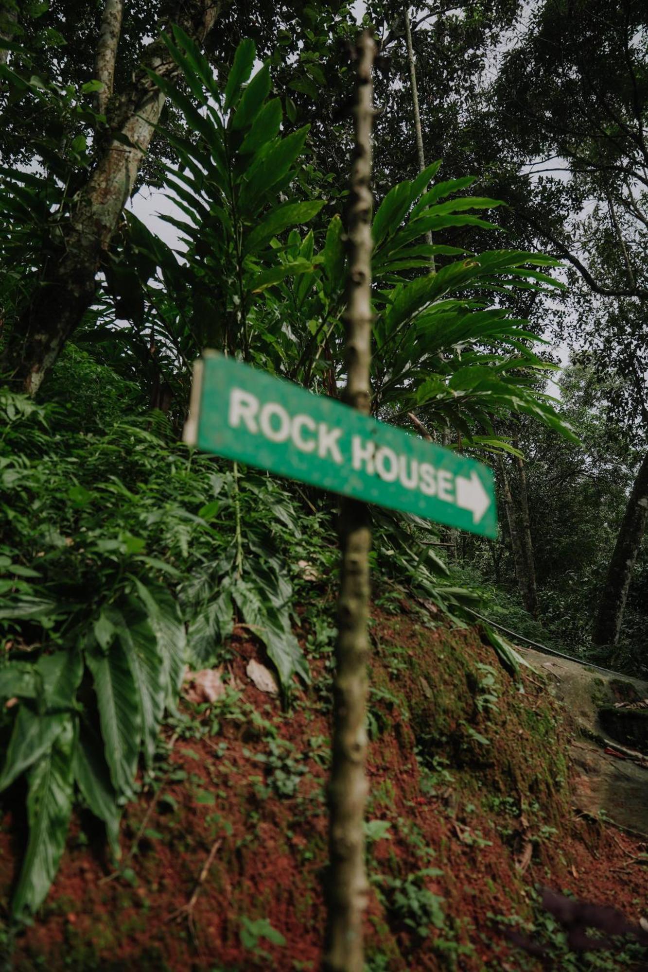 Ela Ecoland Nature Retreat Munnar Exterior photo