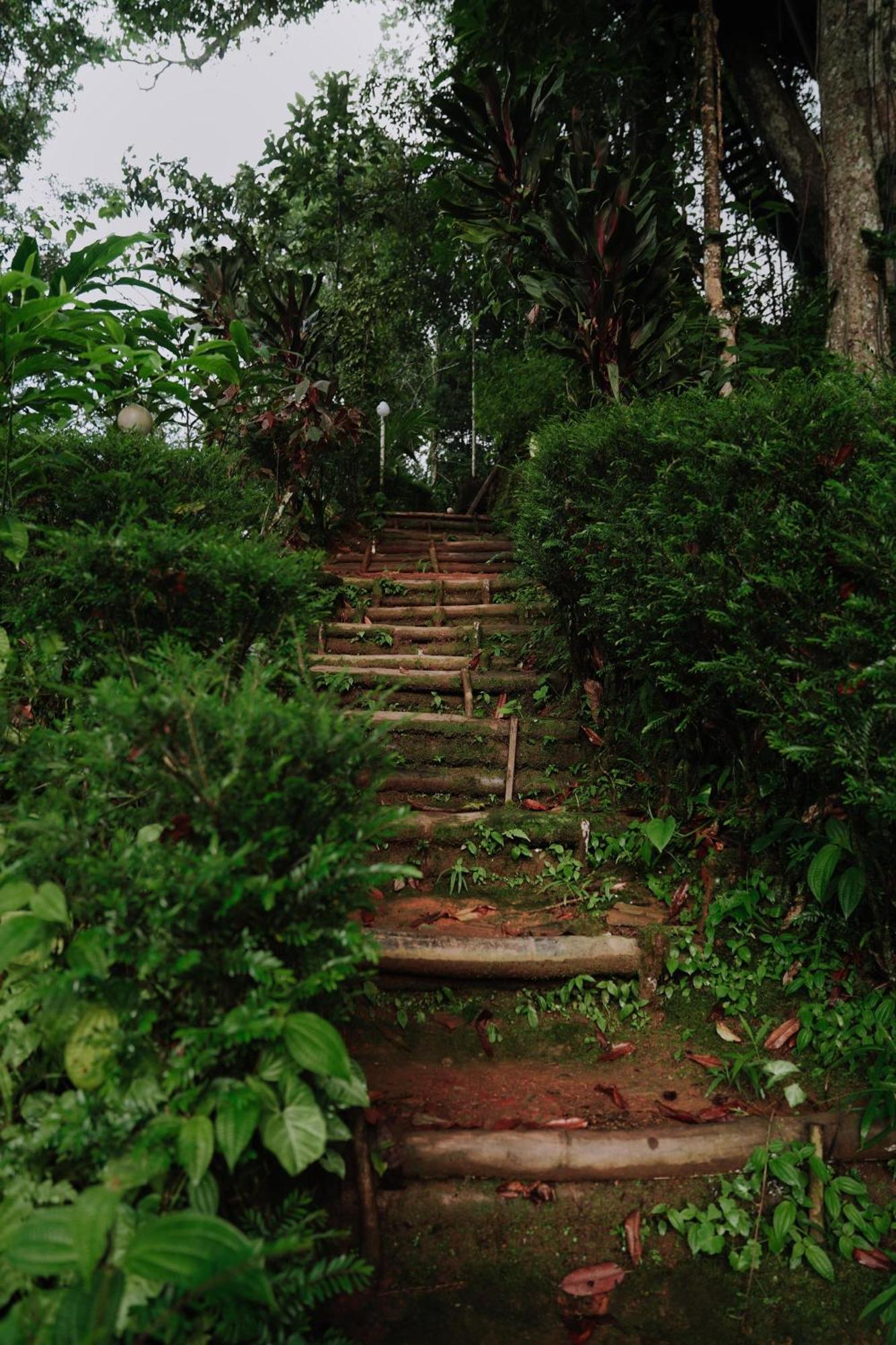 Ela Ecoland Nature Retreat Munnar Exterior photo