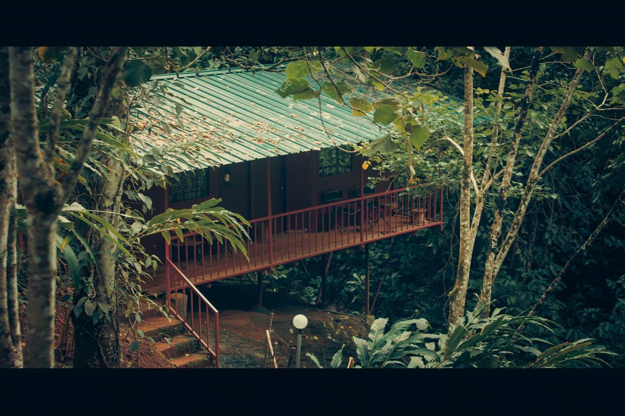 Ela Ecoland Nature Retreat Munnar Exterior photo
