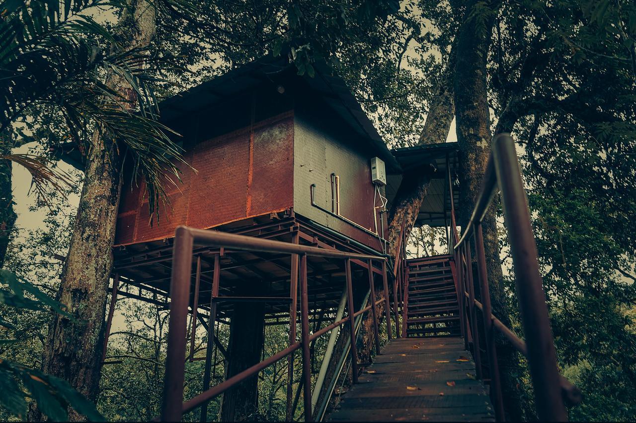 Ela Ecoland Nature Retreat Munnar Exterior photo