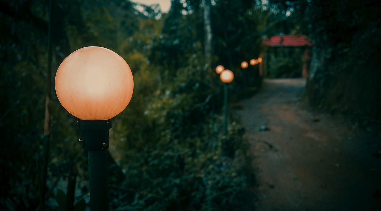 Ela Ecoland Nature Retreat Munnar Exterior photo