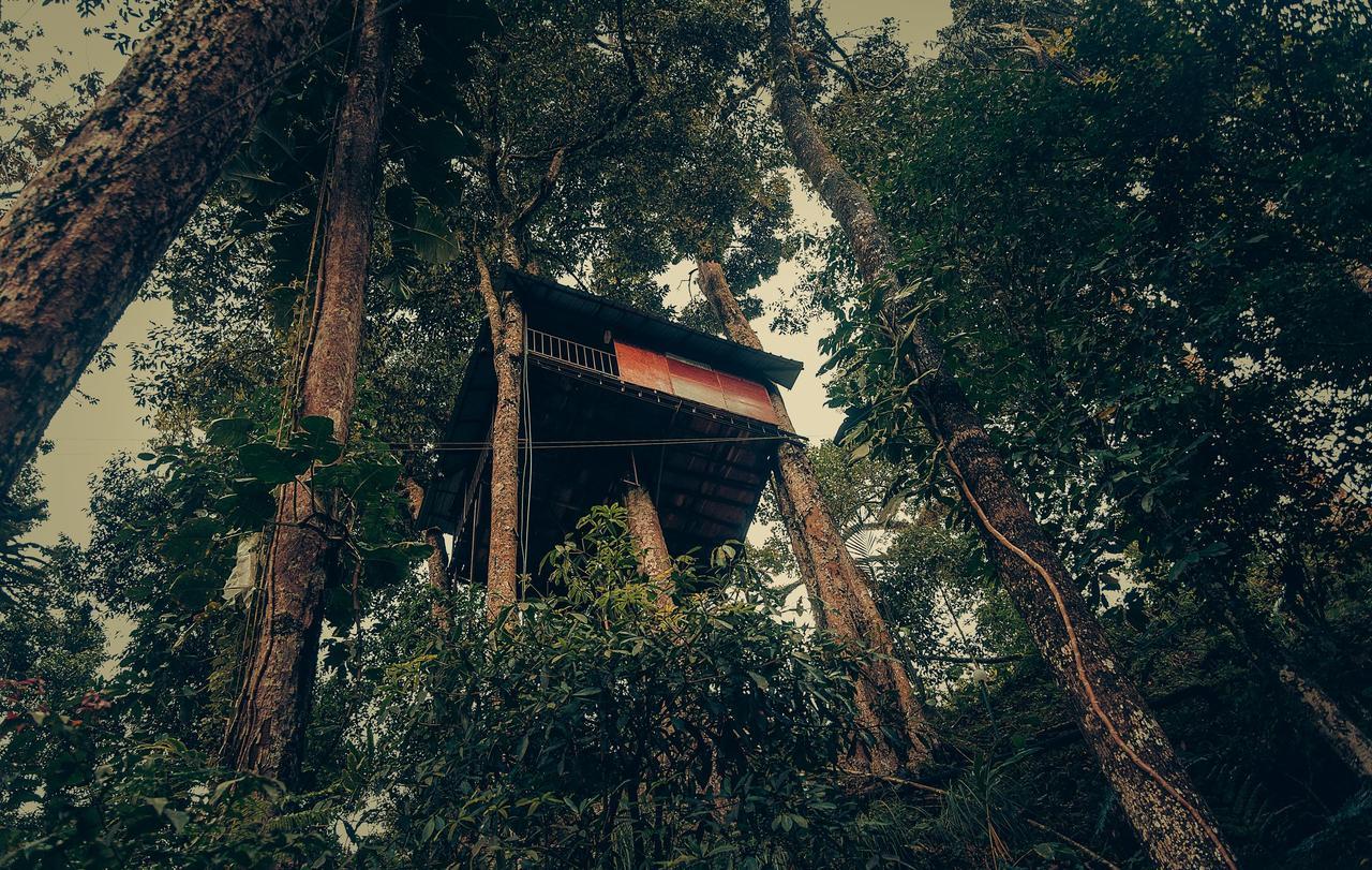 Ela Ecoland Nature Retreat Munnar Exterior photo
